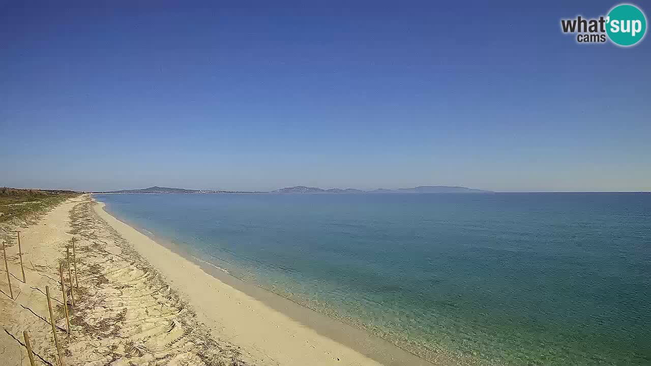 Beach Le Saline webcam live Stintino – Sardinia