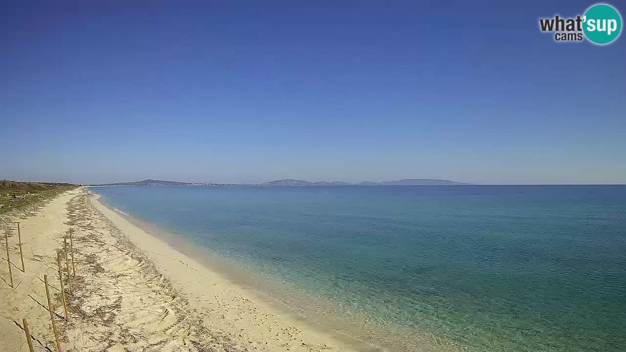 Beach Le Saline webcam live Stintino – Sardinia