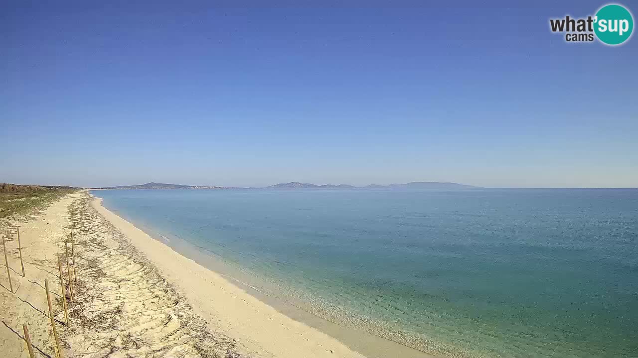 Playa Le Saline camera en vivo Stintino – Cerdeña