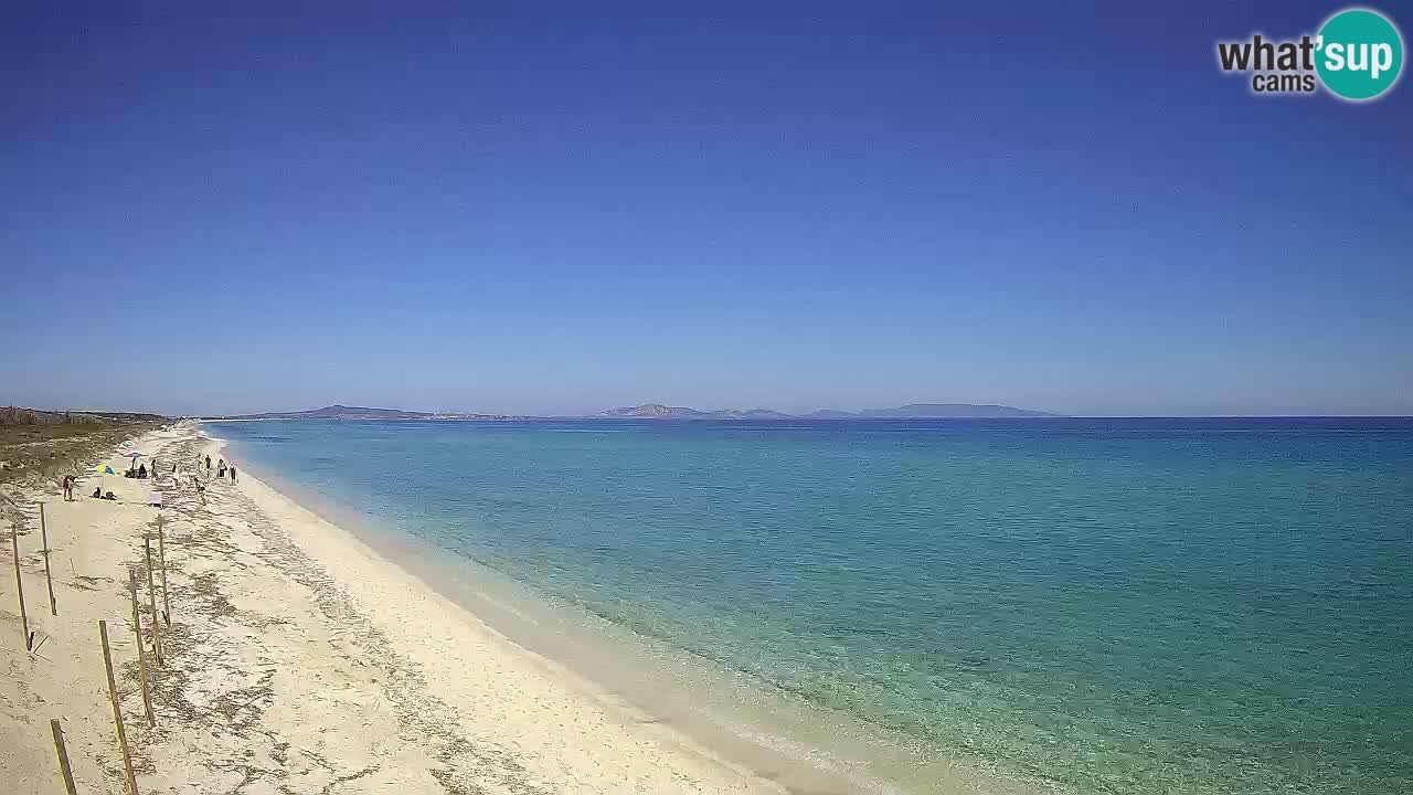 Beach Le Saline webcam live Stintino – Sardinia