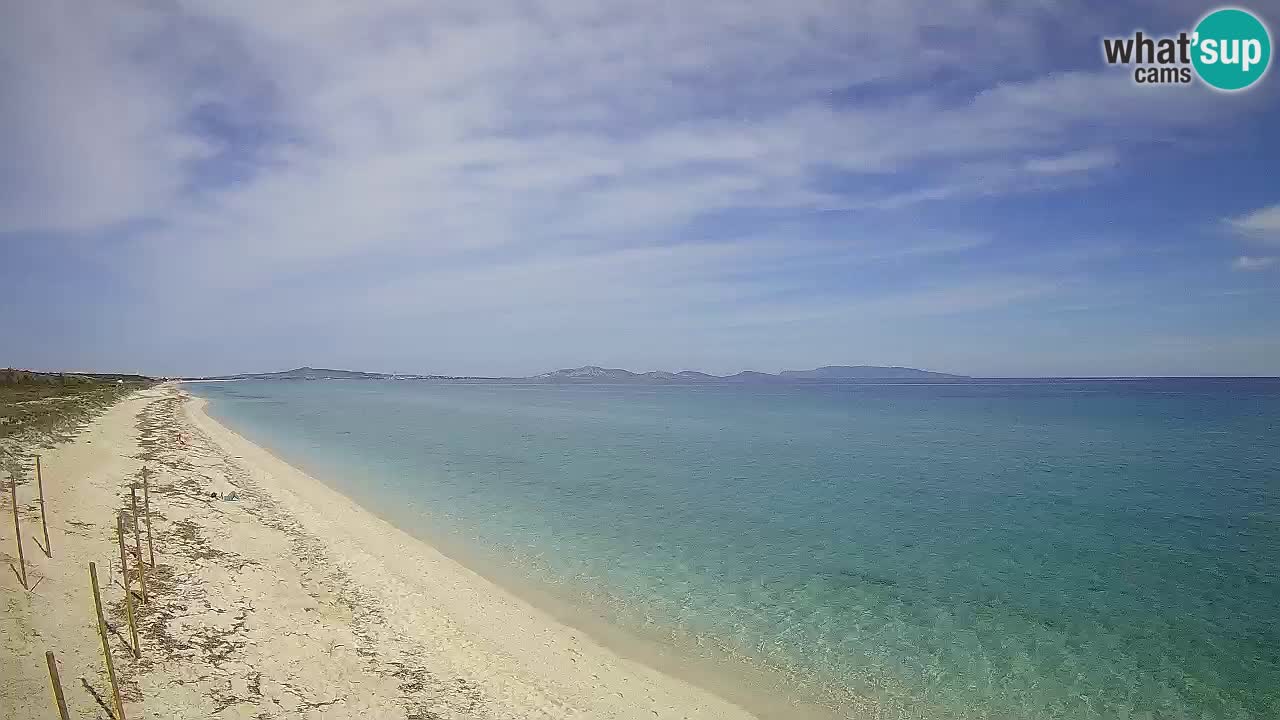 Playa Le Saline camera en vivo Stintino – Cerdeña