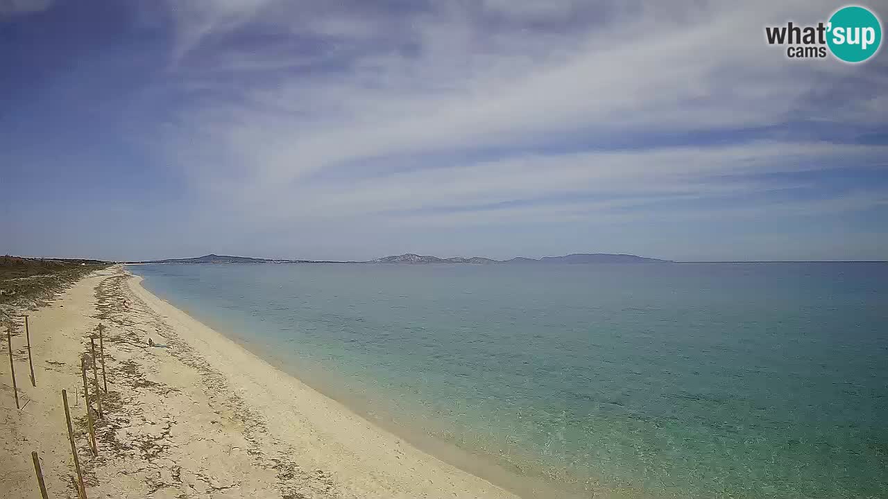 Spiaggia Le Saline webcam Stintino – Sardegna