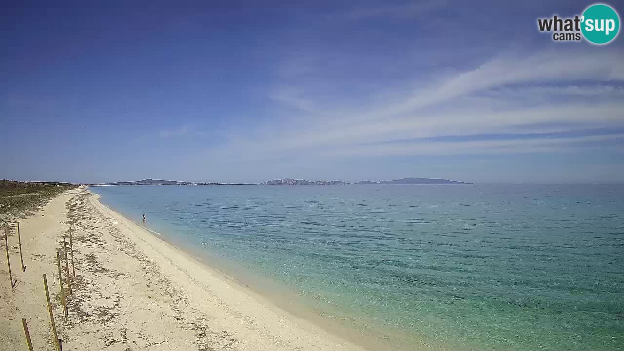 Strand Le Saline webcam Stintino – Sardinien