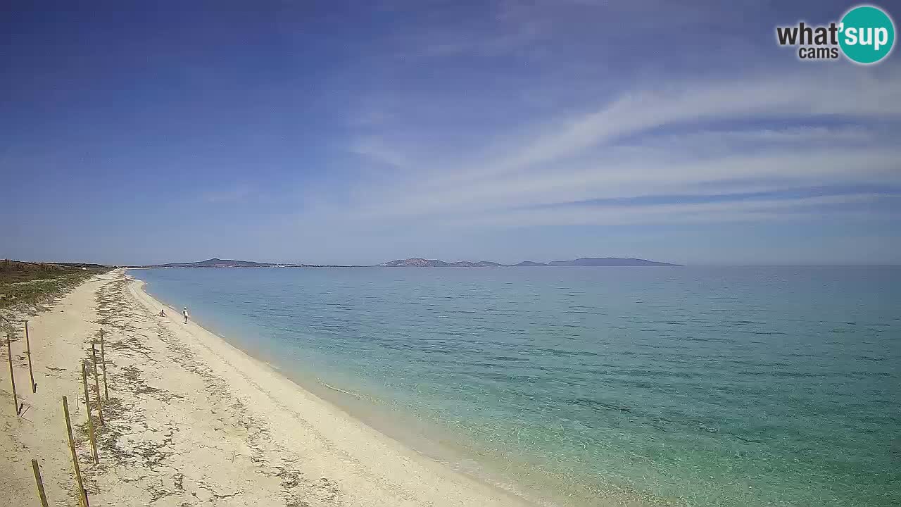 Plage Le Saline Live cam Stintino – Sardaigne
