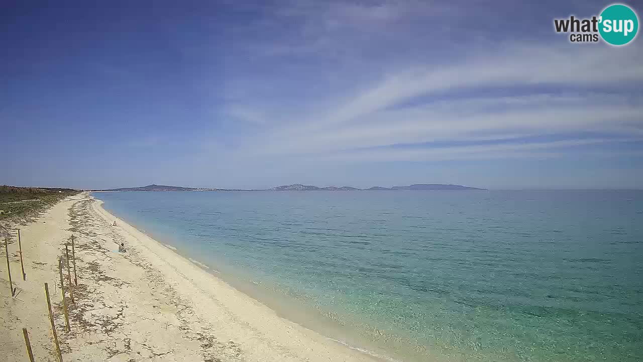 Strand Le Saline webcam Stintino – Sardinien