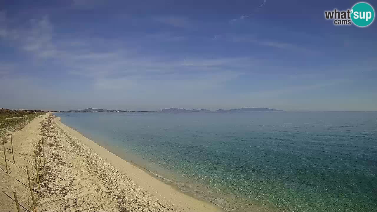 Plage Le Saline Live cam Stintino – Sardaigne