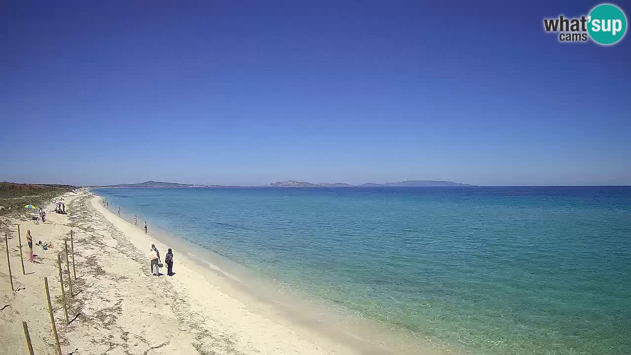 Plaža Le Saline web kamera Stintino – Sardinija