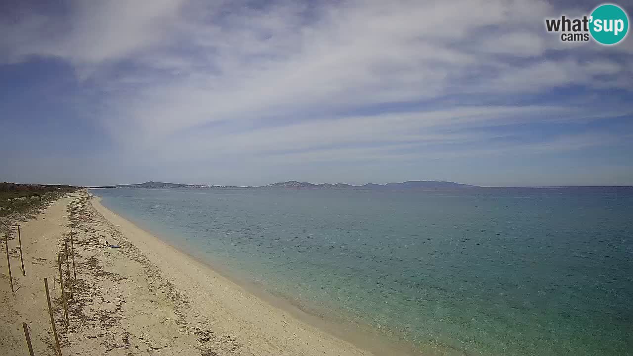Spiaggia Le Saline webcam Stintino – Sardegna