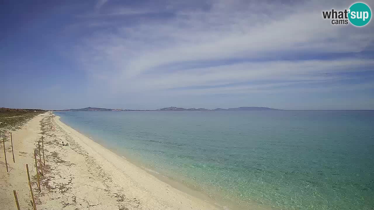 Strand Le Saline webcam Stintino – Sardinien