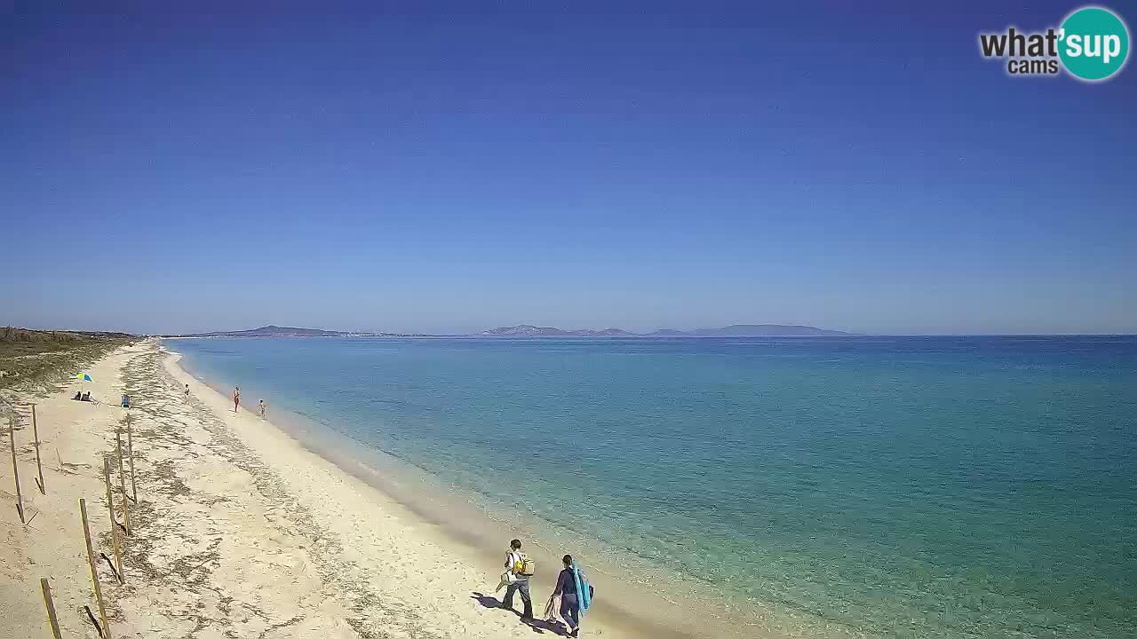 Strand Le Saline webcam Stintino – Sardinien