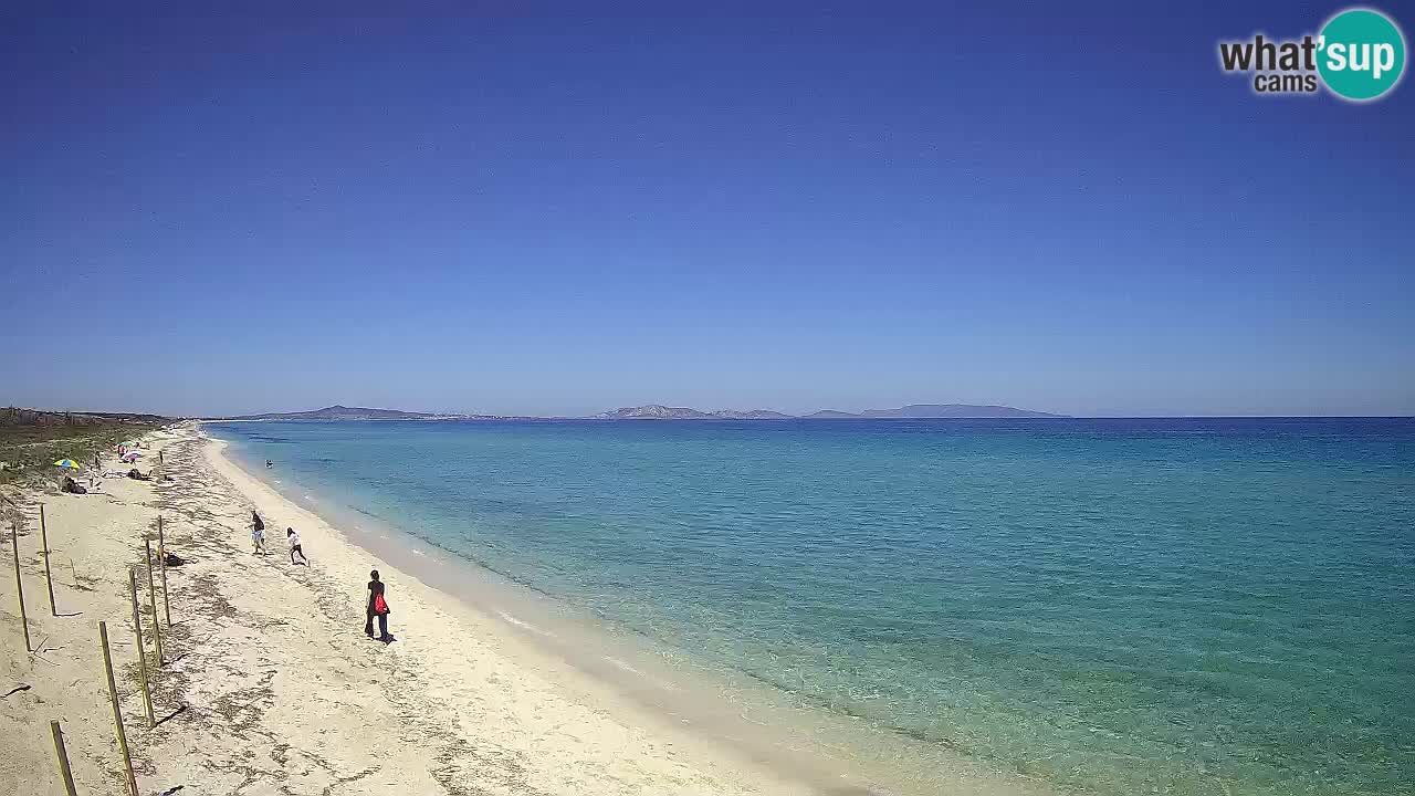 Plaža Le Saline web kamera Stintino – Sardinija