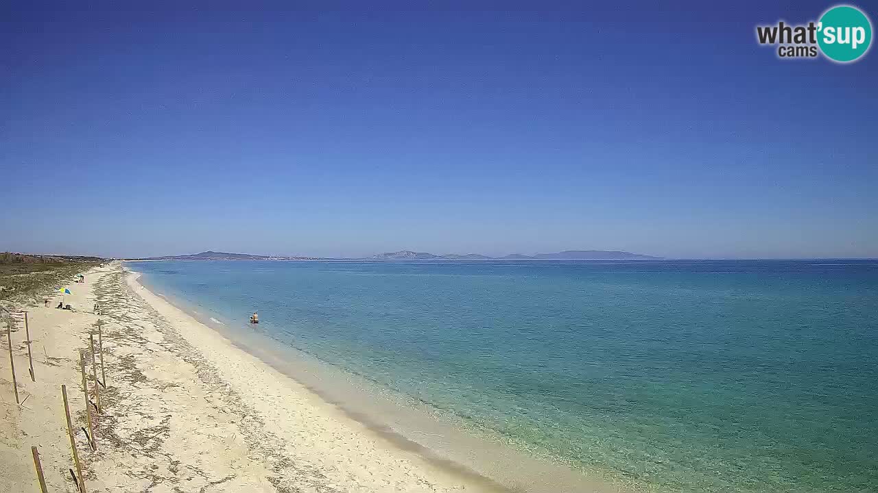 Strand Le Saline webcam Stintino – Sardinien