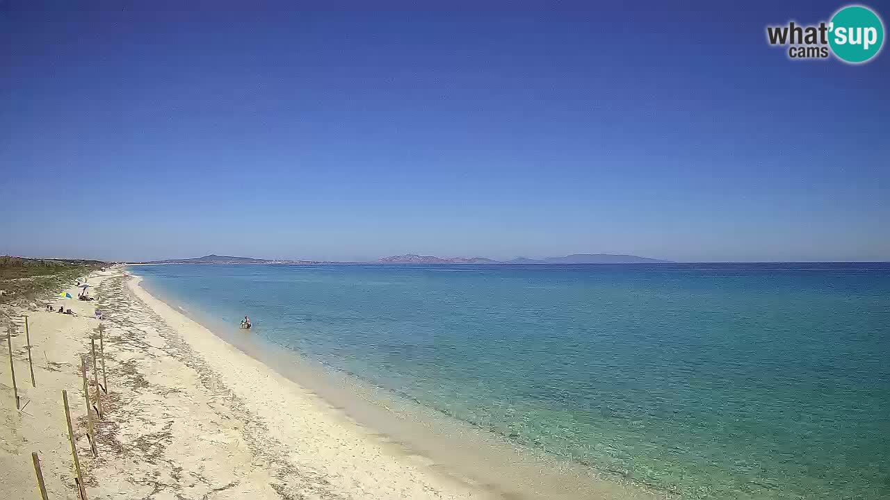 Plaža Le Saline web kamera Stintino – Sardinija