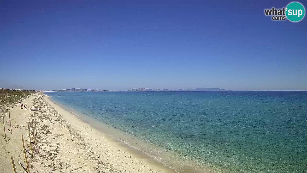 Beach Le Saline webcam live Stintino – Sardinia