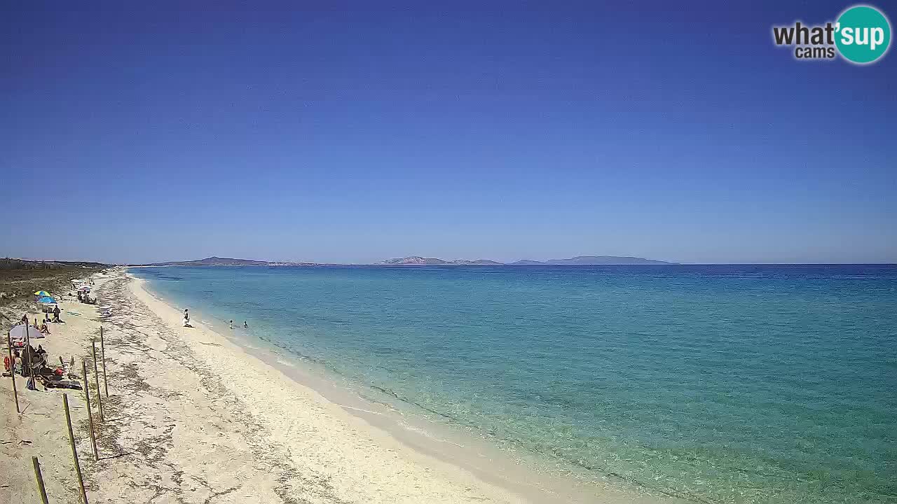 Plaža Le Saline spletna kamera Stintino – Sardinija