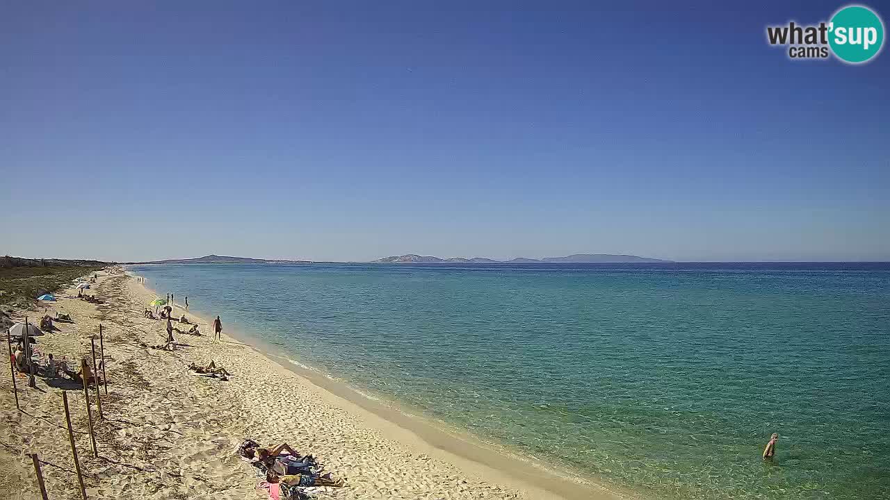 Playa Le Saline camera en vivo Stintino – Cerdeña