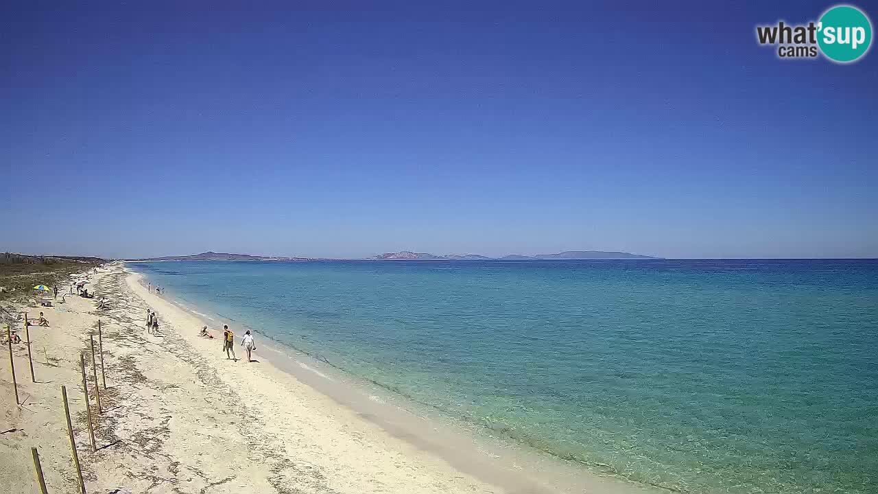 Playa Le Saline camera en vivo Stintino – Cerdeña