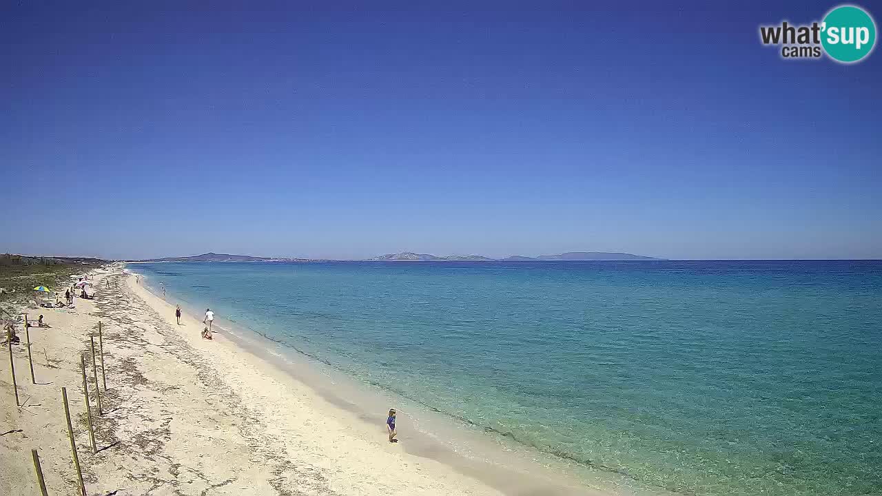 Plaža Le Saline web kamera Stintino – Sardinija