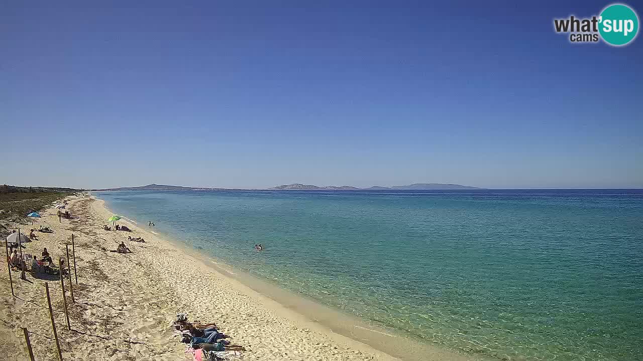 Plage Le Saline Live cam Stintino – Sardaigne