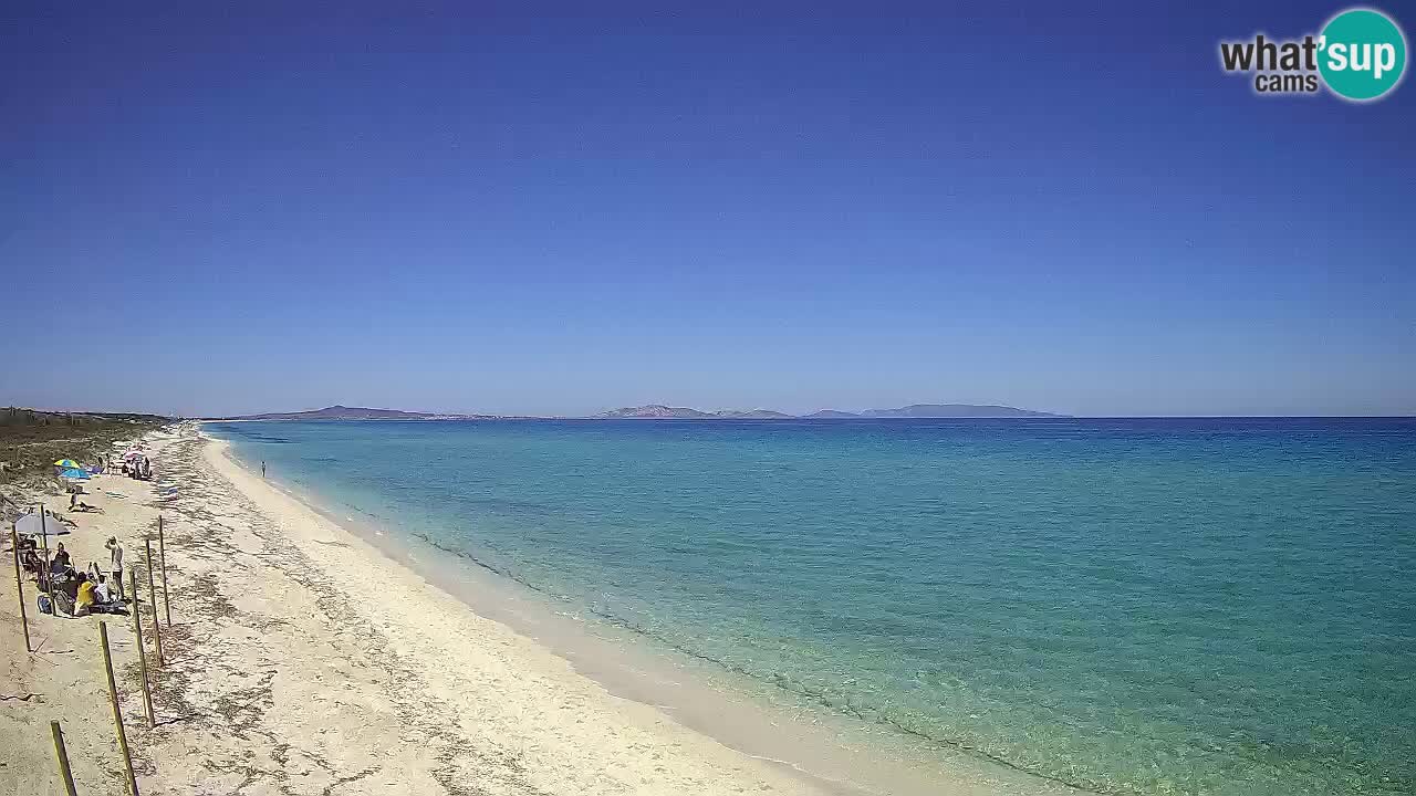 Spiaggia Le Saline webcam Stintino – Sardegna