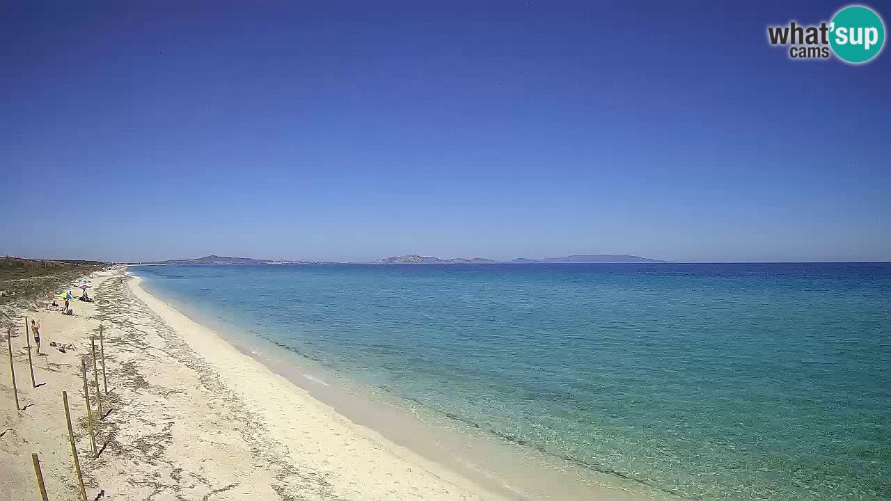 Plaža Le Saline spletna kamera Stintino – Sardinija