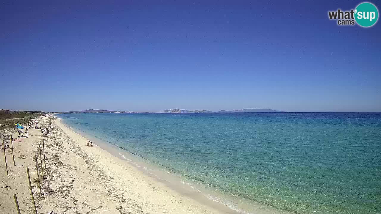 Plaža Le Saline spletna kamera Stintino – Sardinija