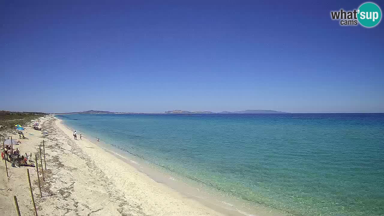 Plage Le Saline Live cam Stintino – Sardaigne
