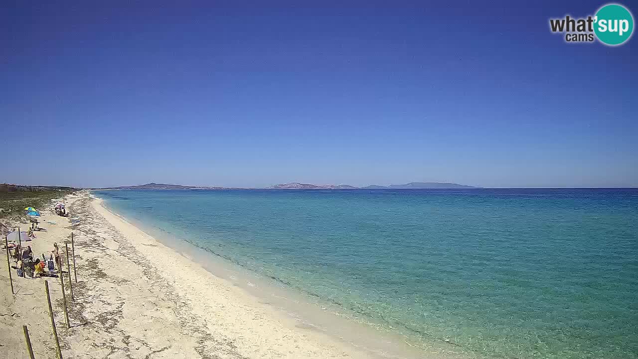 Plage Le Saline Live cam Stintino – Sardaigne