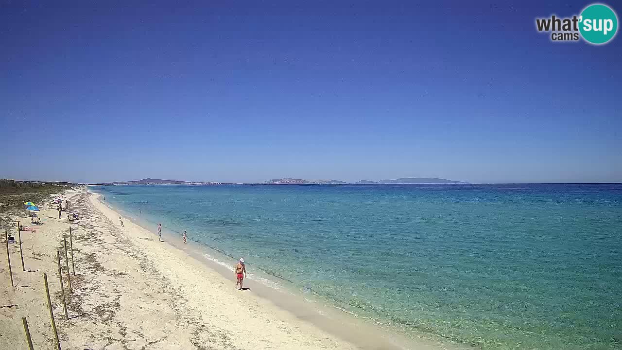 Strand Le Saline webcam Stintino – Sardinien