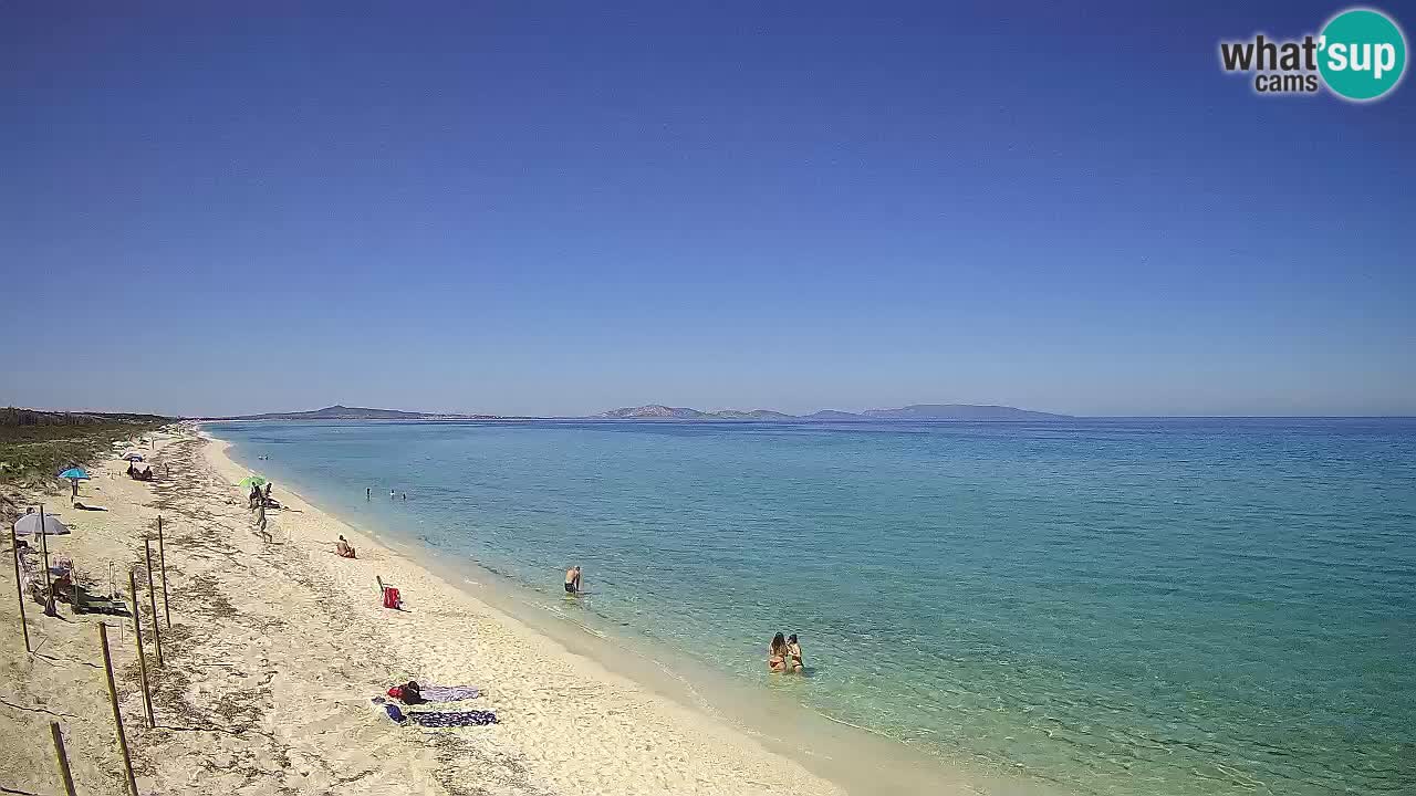 Beach Le Saline webcam live Stintino – Sardinia