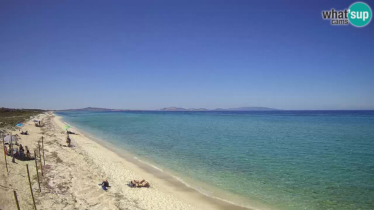 Playa Le Saline camera en vivo Stintino – Cerdeña