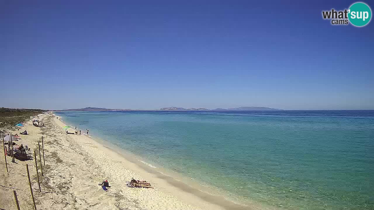Plage Le Saline Live cam Stintino – Sardaigne