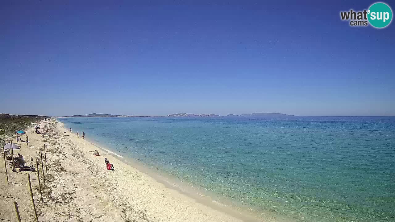Plage Le Saline Live cam Stintino – Sardaigne
