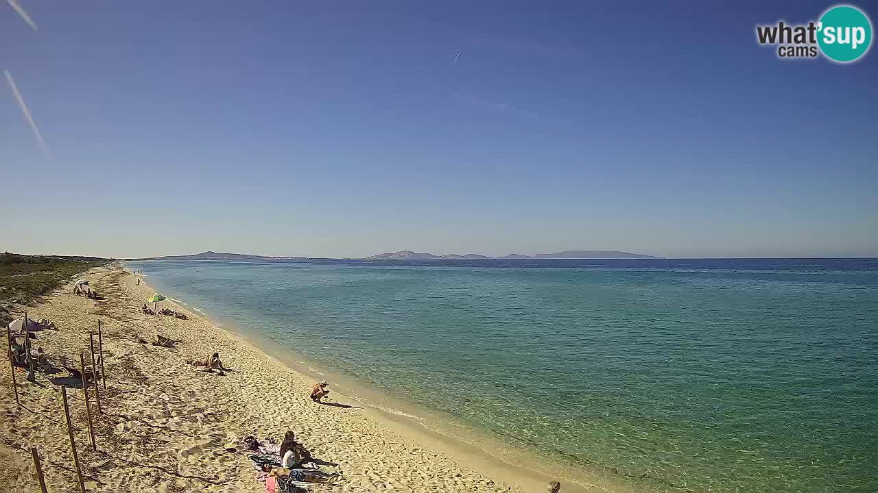 Plaža Le Saline spletna kamera Stintino – Sardinija