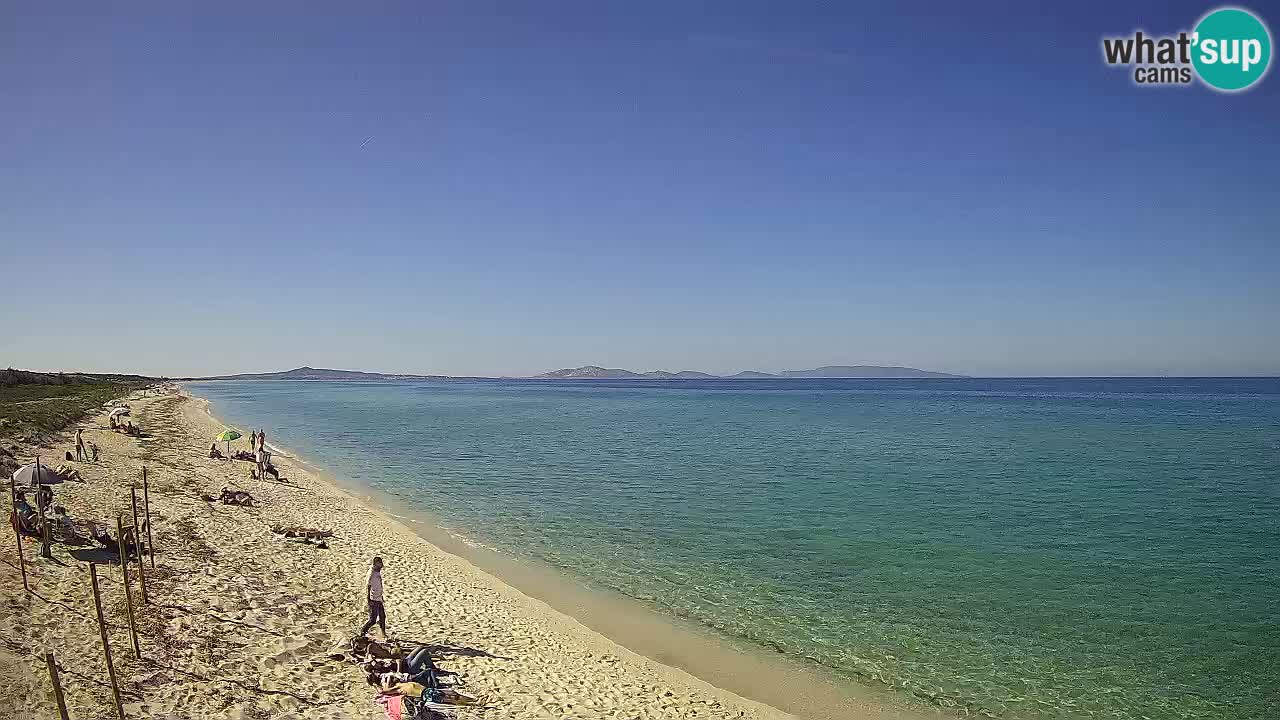 Strand Le Saline webcam Stintino – Sardinien