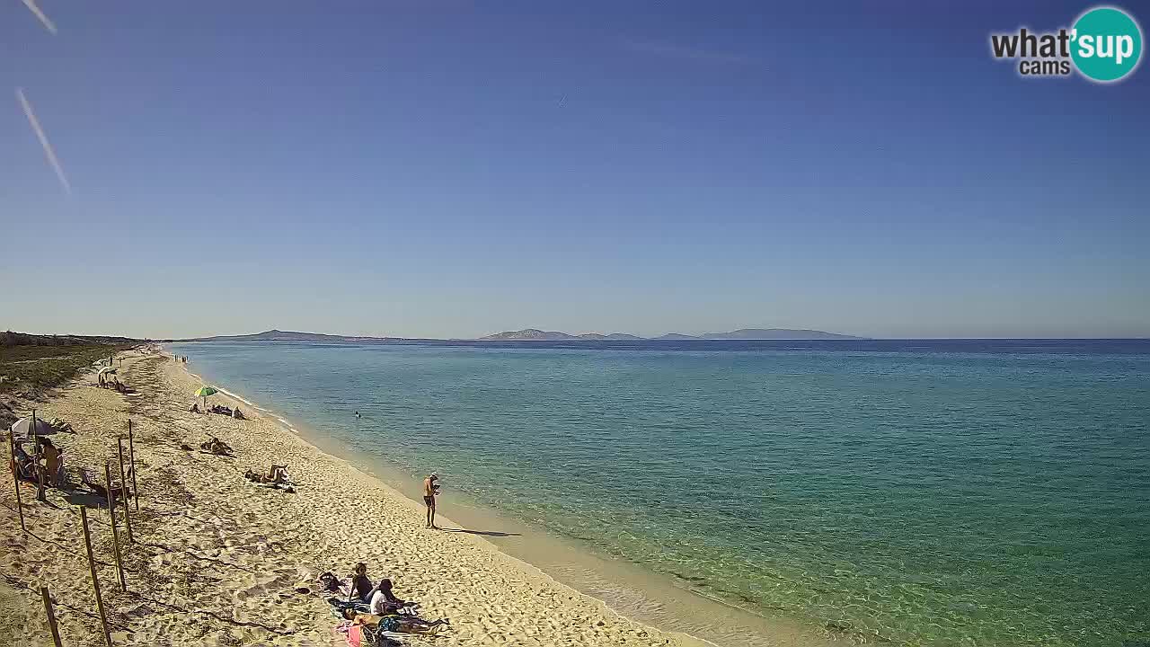 Plaža Le Saline web kamera Stintino – Sardinija