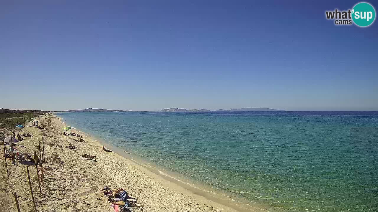 Strand Le Saline webcam Stintino – Sardinien