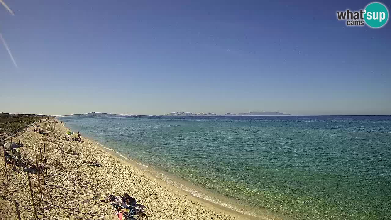 Playa Le Saline camera en vivo Stintino – Cerdeña