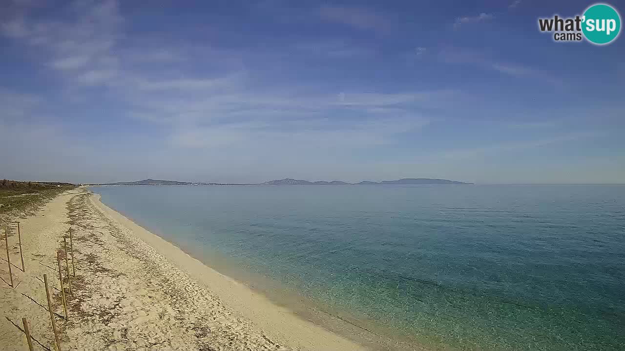 Playa Le Saline camera en vivo Stintino – Cerdeña