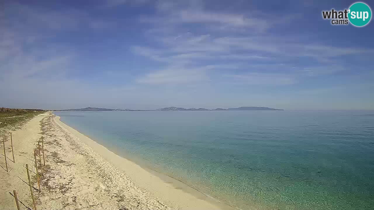Plaža Le Saline web kamera Stintino – Sardinija