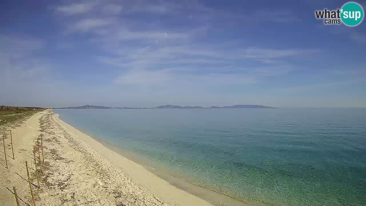 Plaža Le Saline web kamera Stintino – Sardinija