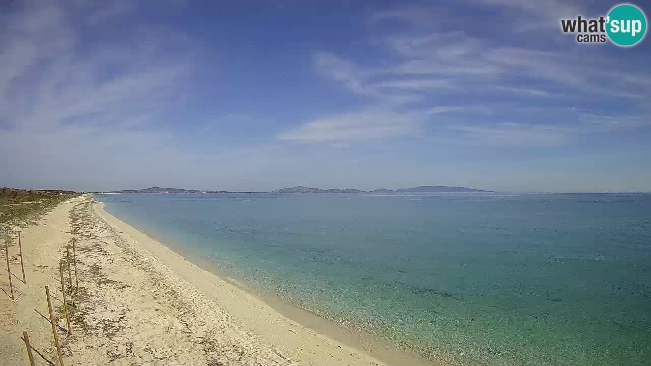 Playa Le Saline camera en vivo Stintino – Cerdeña