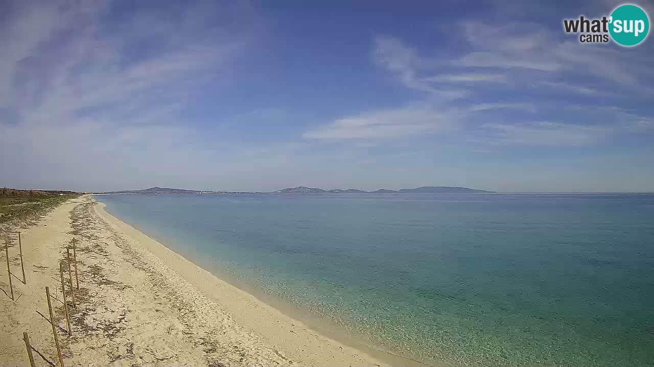 Strand Le Saline webcam Stintino – Sardinien