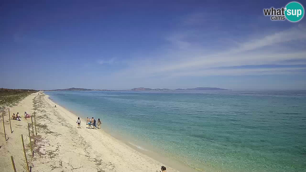 Strand Le Saline webcam Stintino – Sardinien