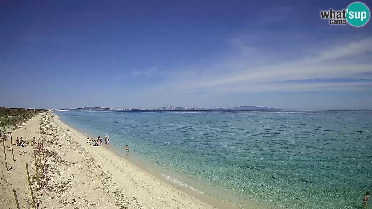 Beach Le Saline webcam live Stintino – Sardinia