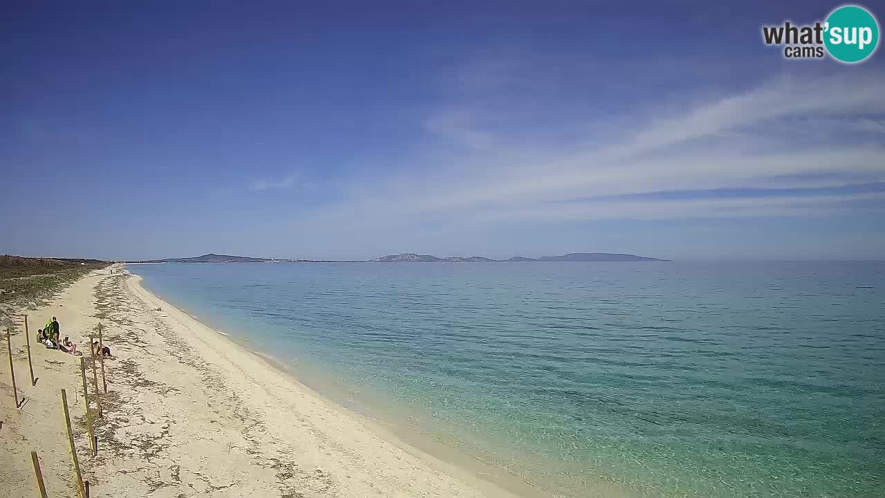 Playa Le Saline camera en vivo Stintino – Cerdeña