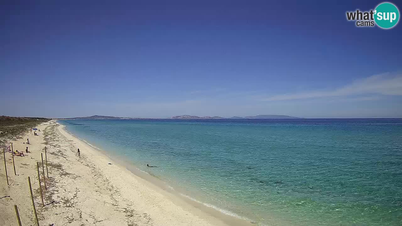 Beach Le Saline webcam live Stintino – Sardinia