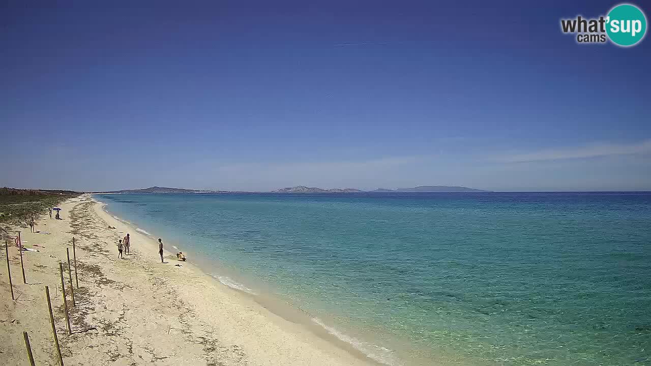 Beach Le Saline webcam live Stintino – Sardinia