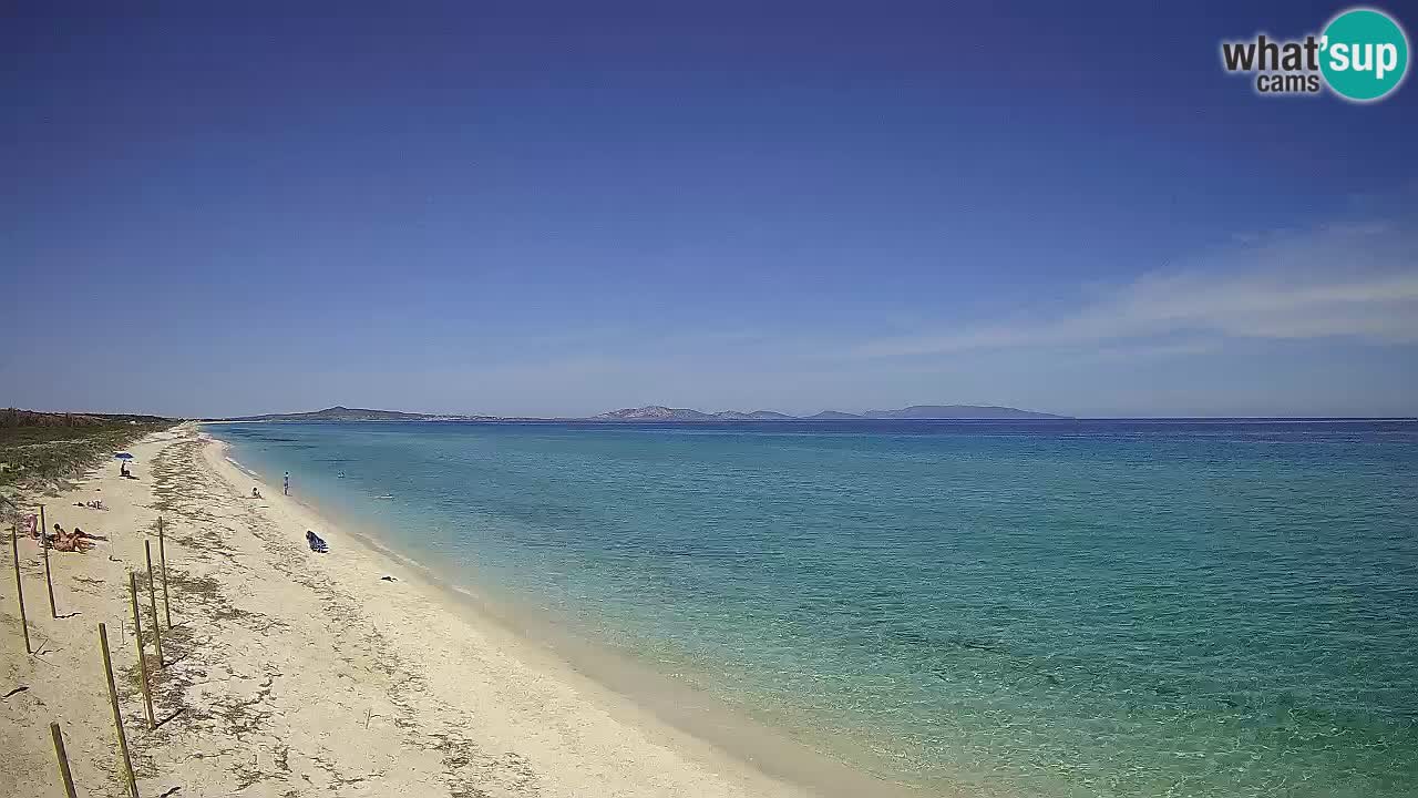 Beach Le Saline webcam live Stintino – Sardinia