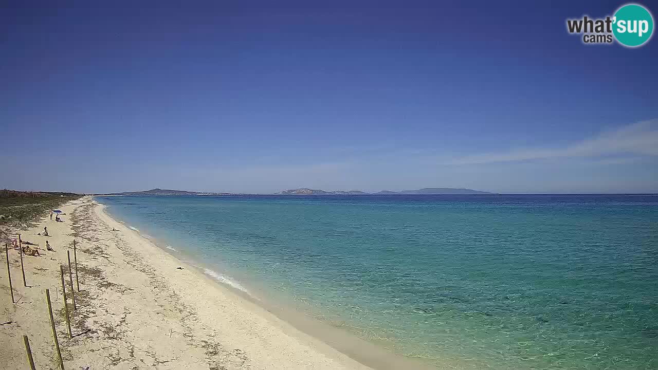 Plage Le Saline Live cam Stintino – Sardaigne